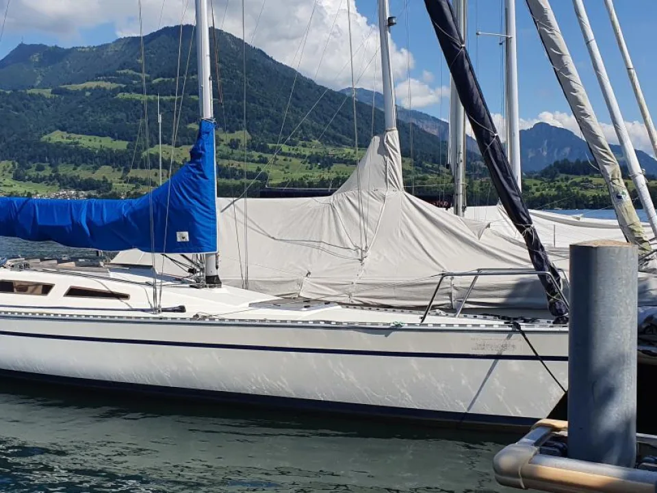 DYNAMIC 35 sailing